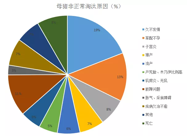 布隆如何选择装备？一文详解最佳搭配策略